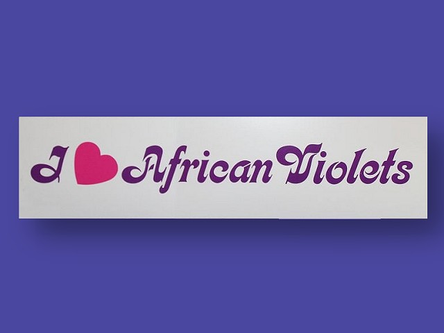 I Love African Violets Bumper Sticker - Click Image to Close